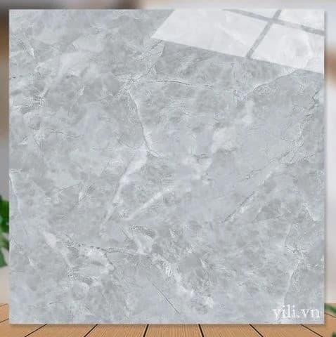 Gạch lát nền 60X60 Catalan 62085 men bóng