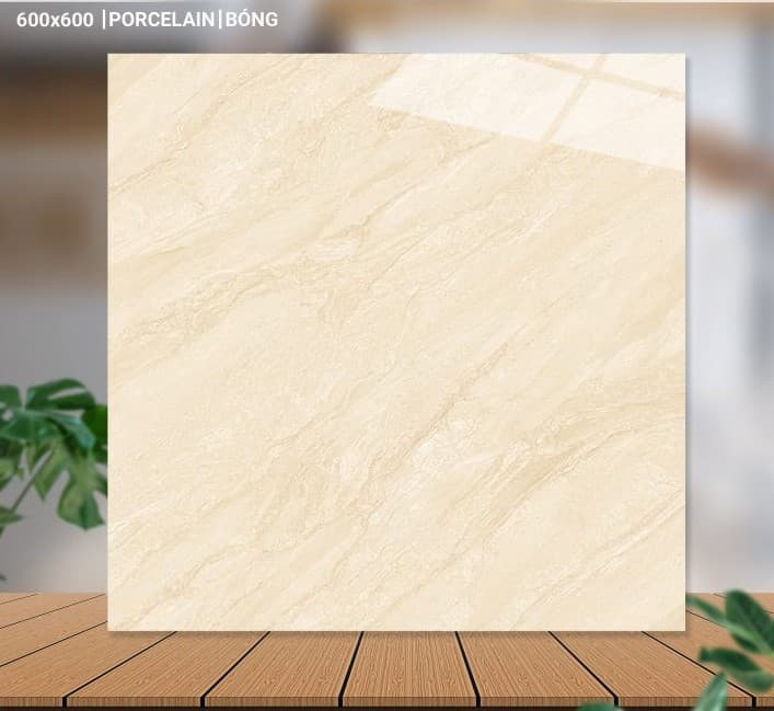 Gạch lát nền 60X60 Catalan 65006 đá bóng