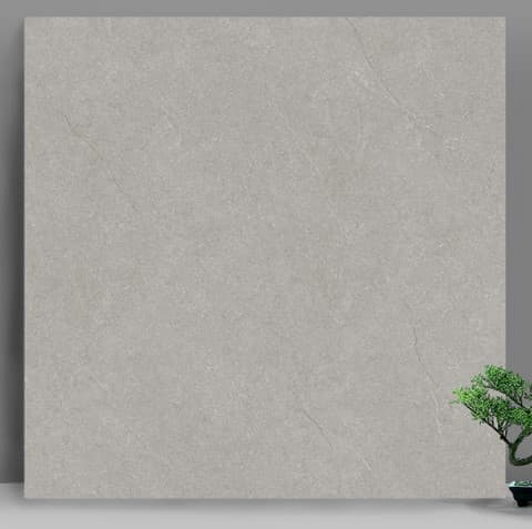 Gạch lát nền 60X60 Catalan 66022 đá nhám