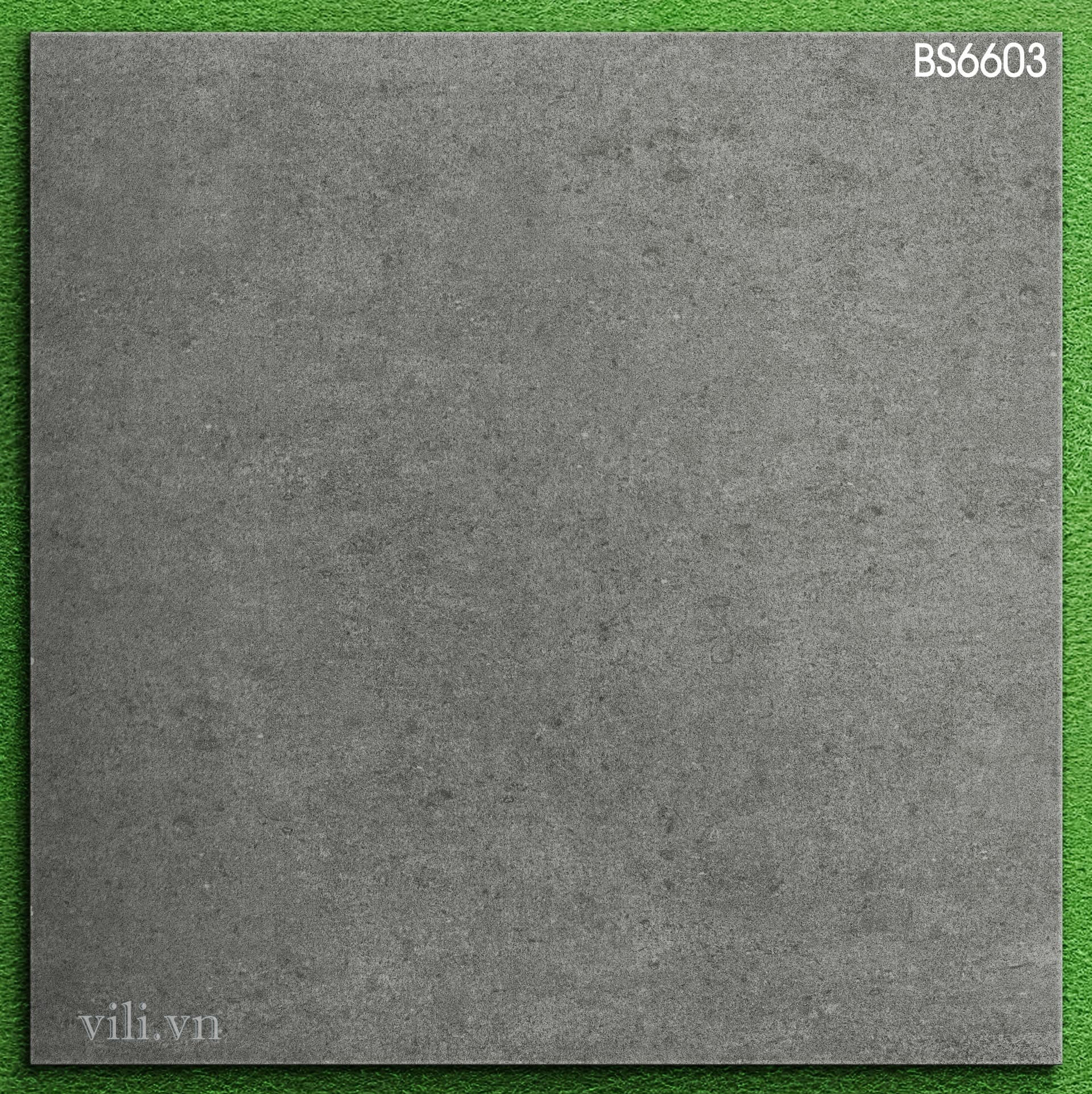 Gạch lát nền 60X60 Viglacera BS6603 đá mờ