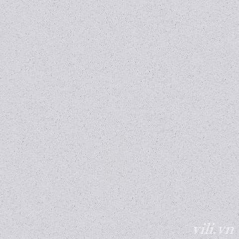 Gạch lát nền 60X60 Prime 9721 men mờ