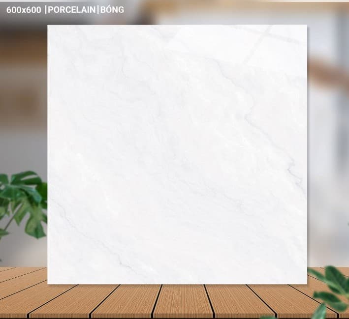 Gạch lát nền 60X60 Catalan 65003 đá bóng