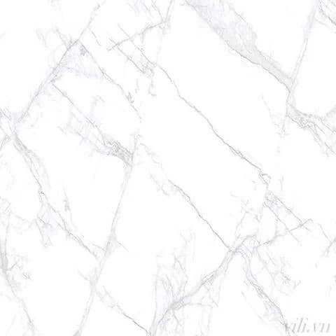 Gạch lát nền 100X100 cm BD 55001 cao cấp đá bóng
