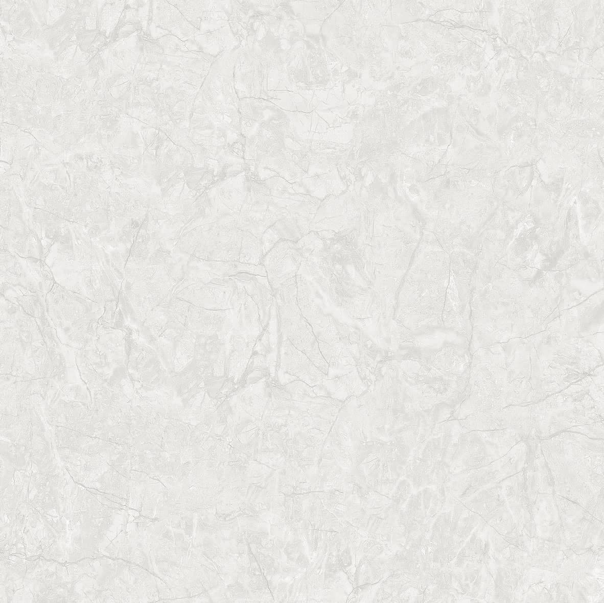 Gạch lát nền 100x100 Tasa 1105 đá bóng cao cấp