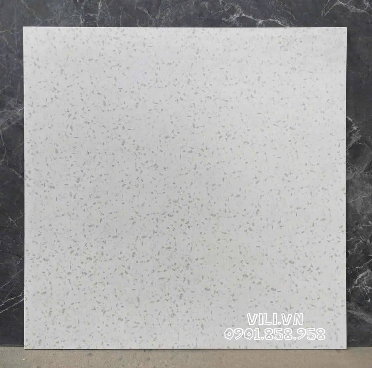 Gạch lát nền Terrazzo 60X60 S6002 đá mờ nhám