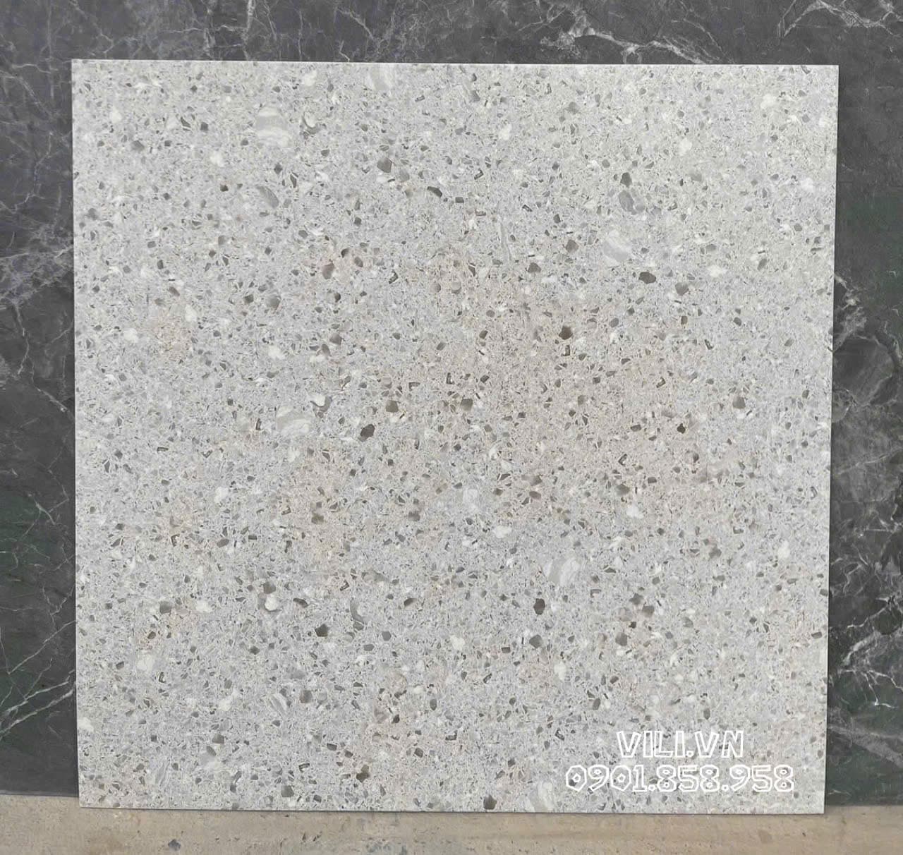 Gạch lát nền terrazzo 60X60 S6031 đá mờ nhám