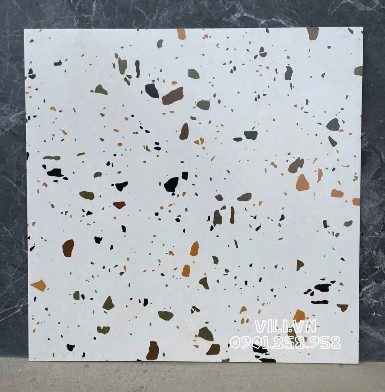 Gạch lát nền terrazzo 60X60 S6062 đá mờ nhám