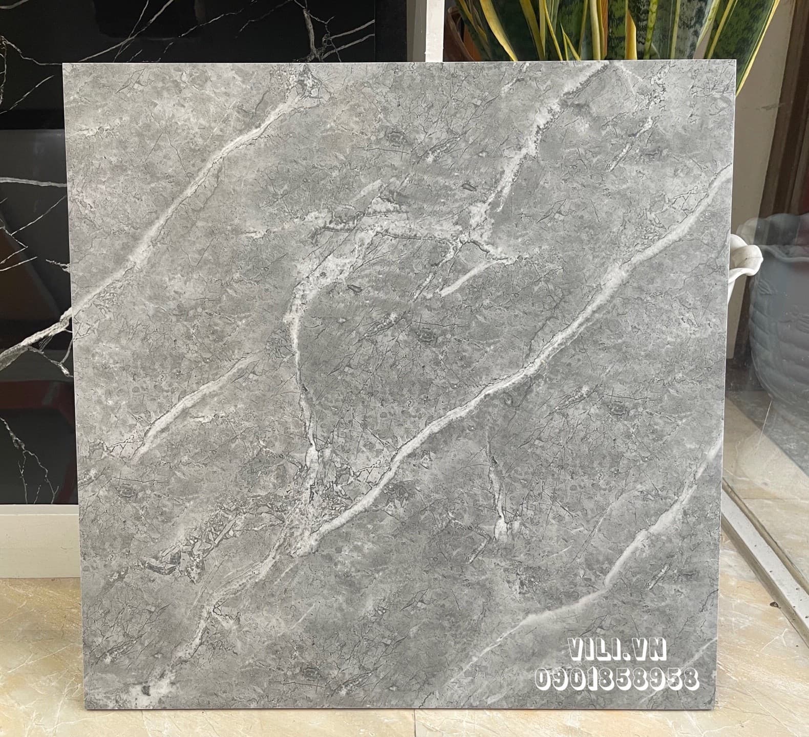 Gạch lát nền 60X60 TTC CM66007 men mờ