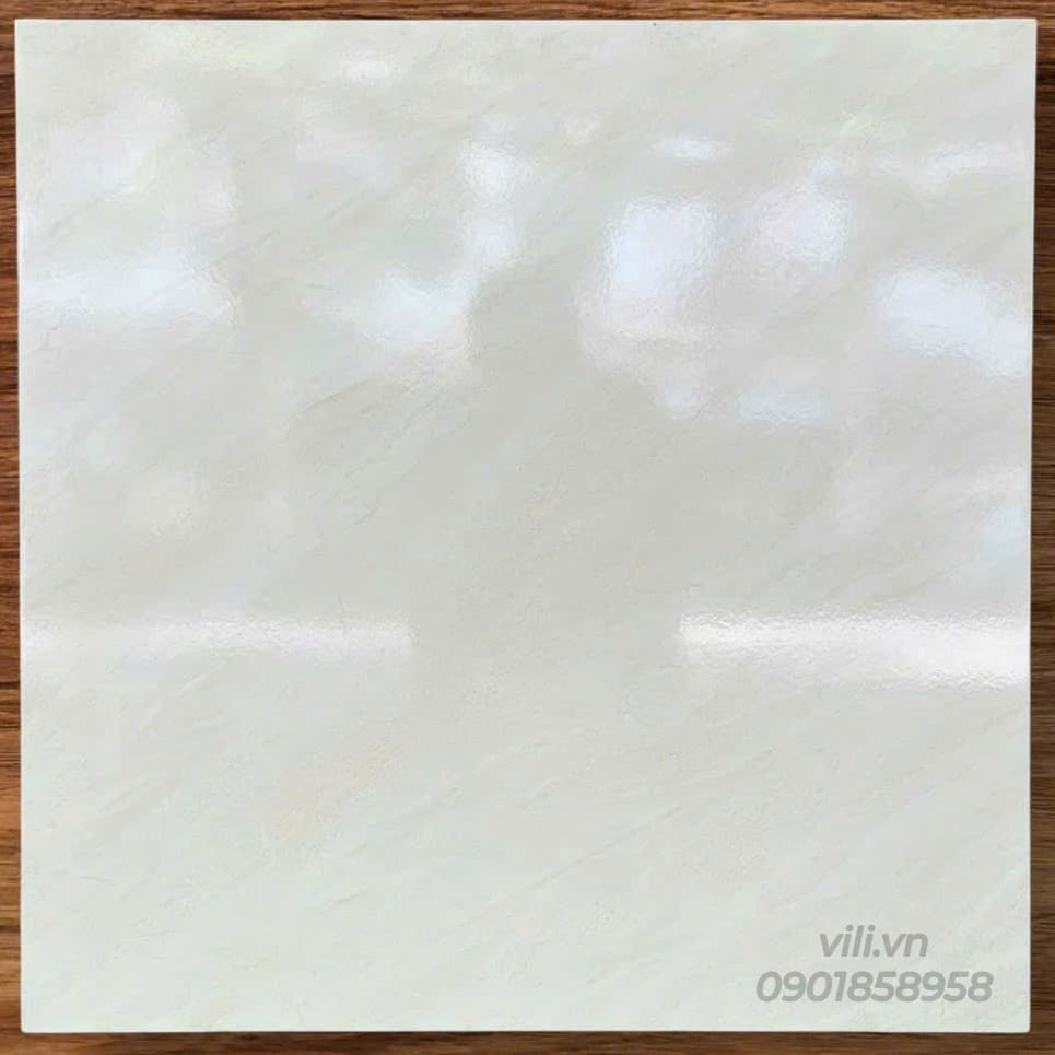 Gạch lát nền 60X60 TTC FB66041 men bóng