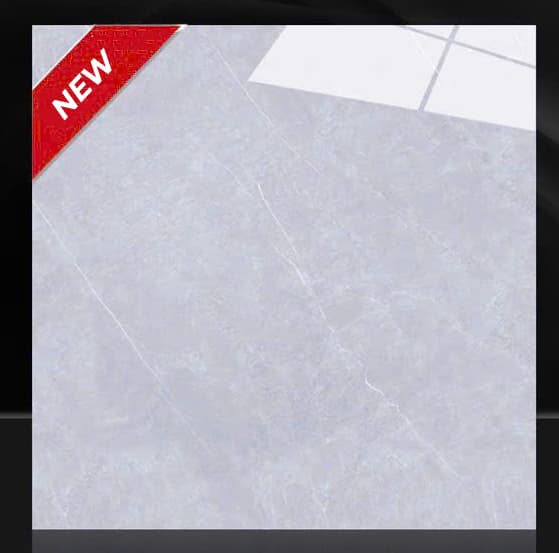 Gạch lát nền 60X60 TTC TPN66063 đá bóng