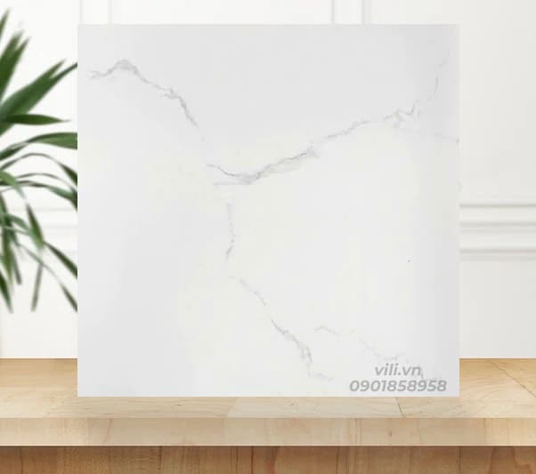 Gạch lát nền 60X60 BD6367 men bóng