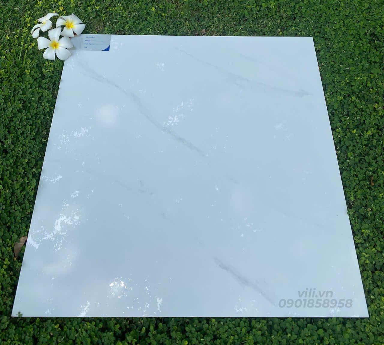 Gạch lát nền 60X60 đá bóng TTB601