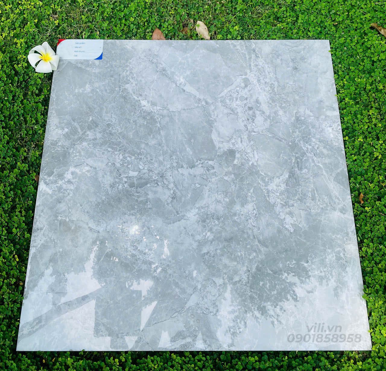 Gạch lát nền 60X60 đá bóng TTB602C