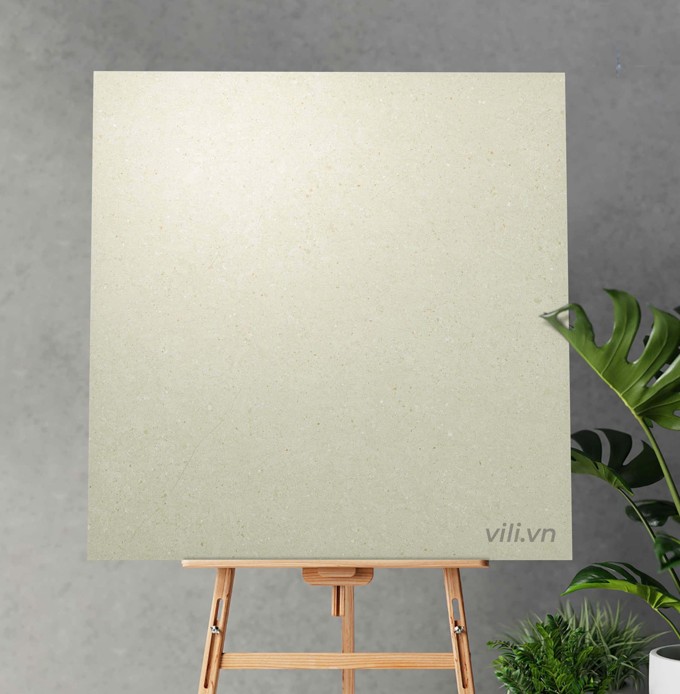 Gạch lát nền 80X80 Viglacera VHP8810 mờ matt