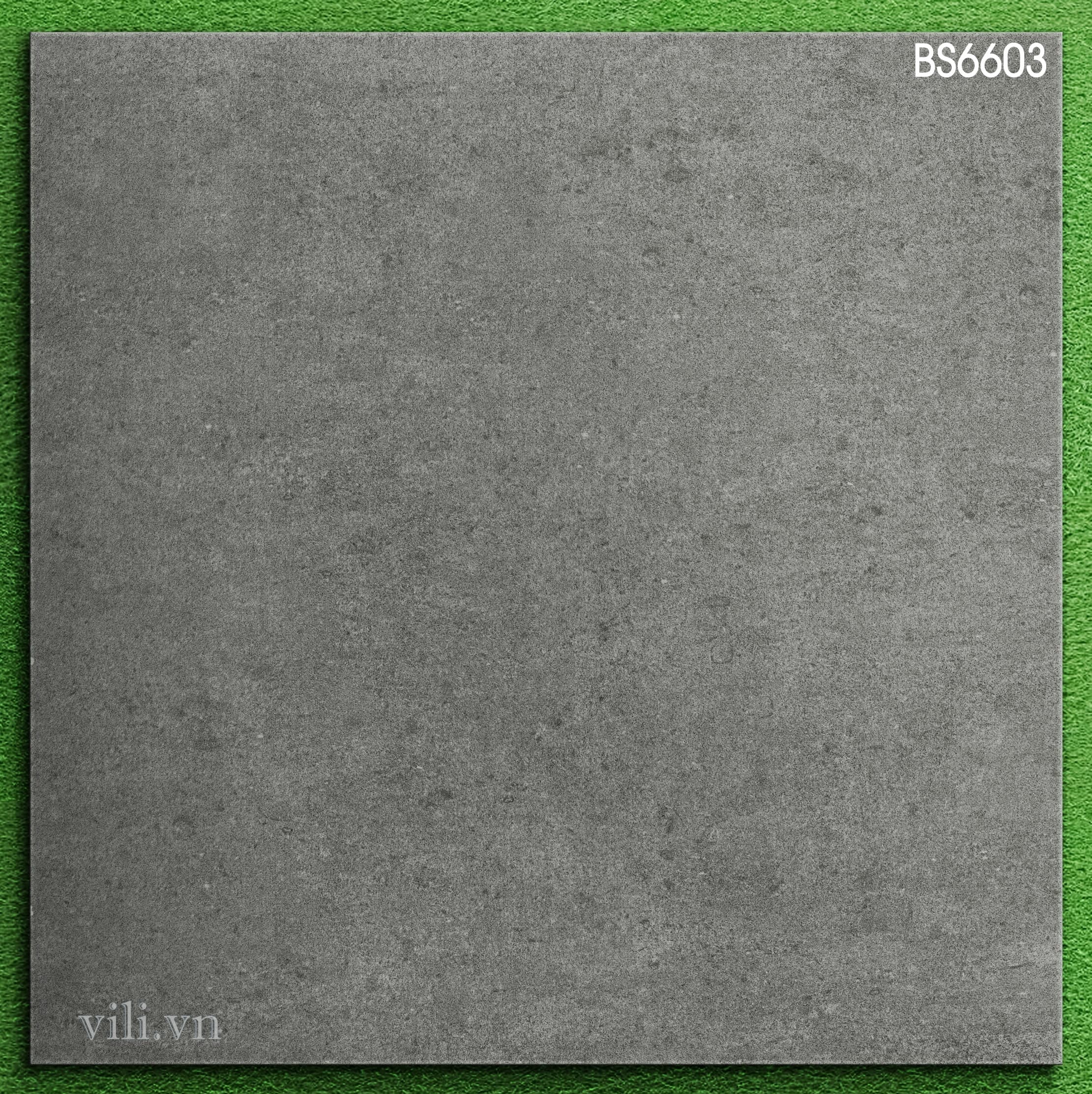 Gạch lát nền 60X60 Viglacera BS6603 đá mờ