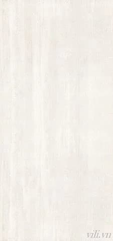 Gạch lát nền 60X120 INDIA BD 005 nhám