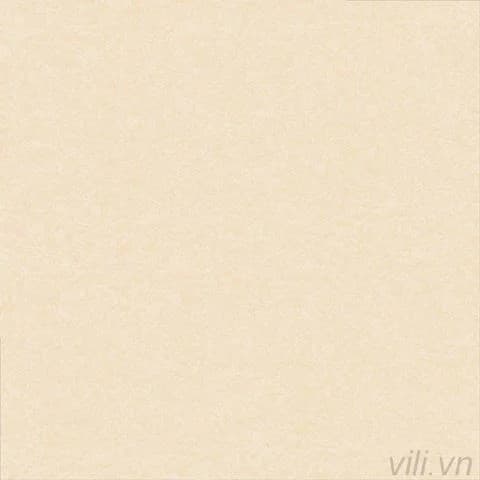 Gạch lát nền 60X60 Prime 9704 men mờ
